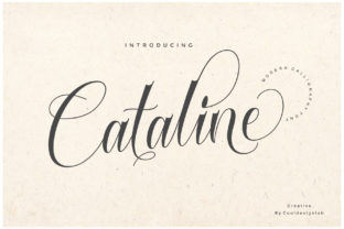 Cataline Script: A Modern Handwritten Font for Small Business Branding