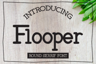 Flooper: A Friendly Serif Font for Editorial Charm