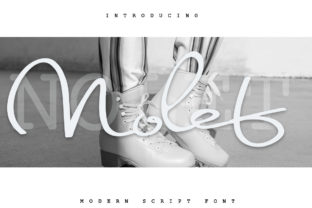 Nolet Script Font: Elegant Handwritten Style for Real Business Branding